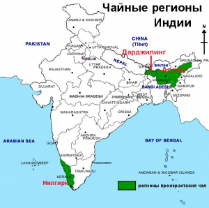 tea-production-india-map